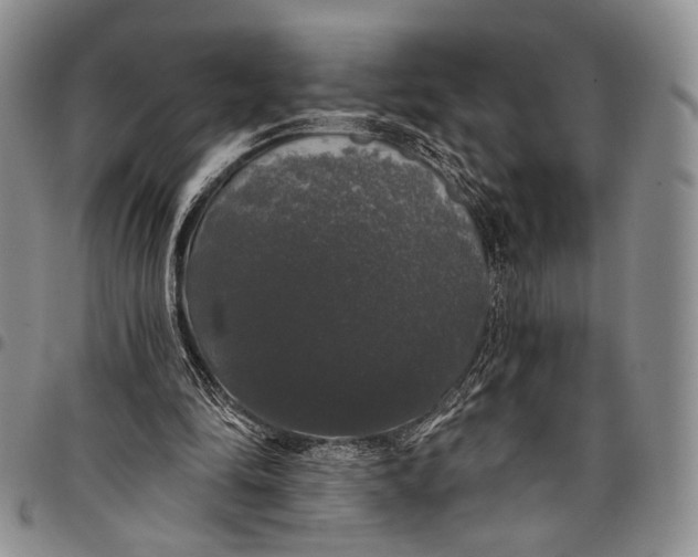 X0000097990294200804141148