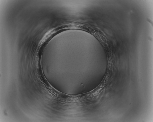 X0000097990295200804141148