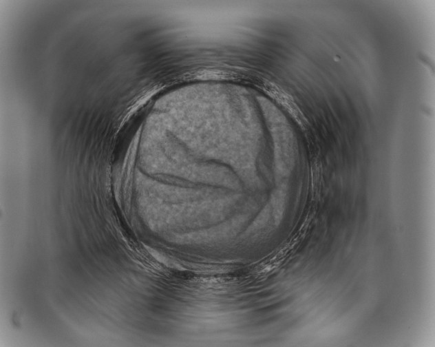 X0000097990297200804141148