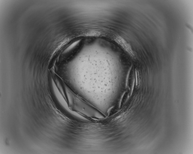 X0000097990300200804141148