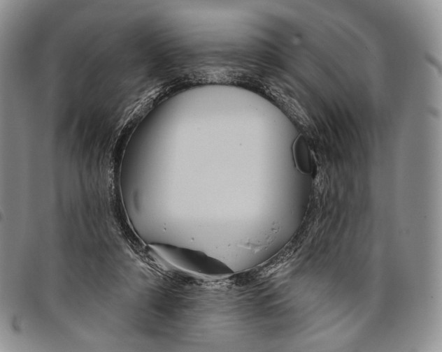 X0000097990306200804141148