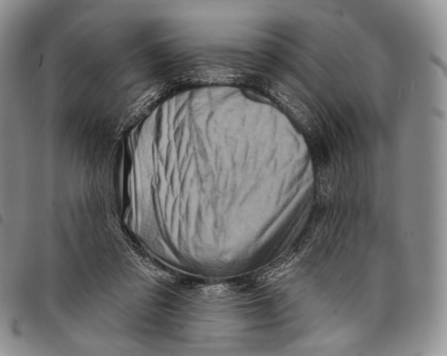 X0000097990309200804141148