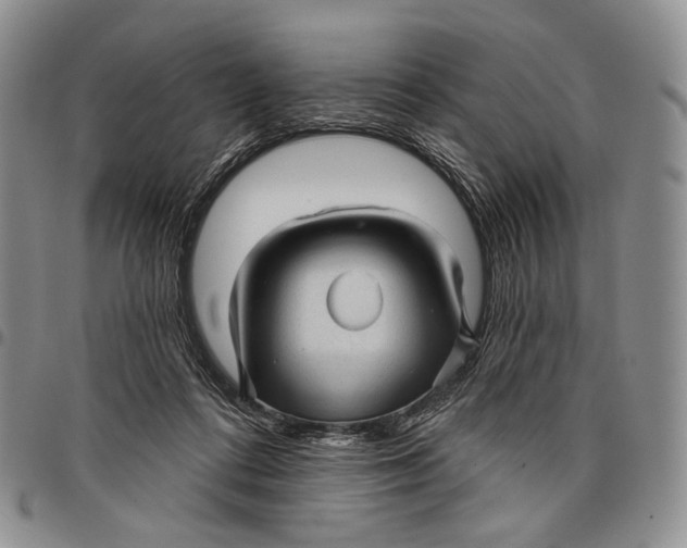 X0000097990312200804141148