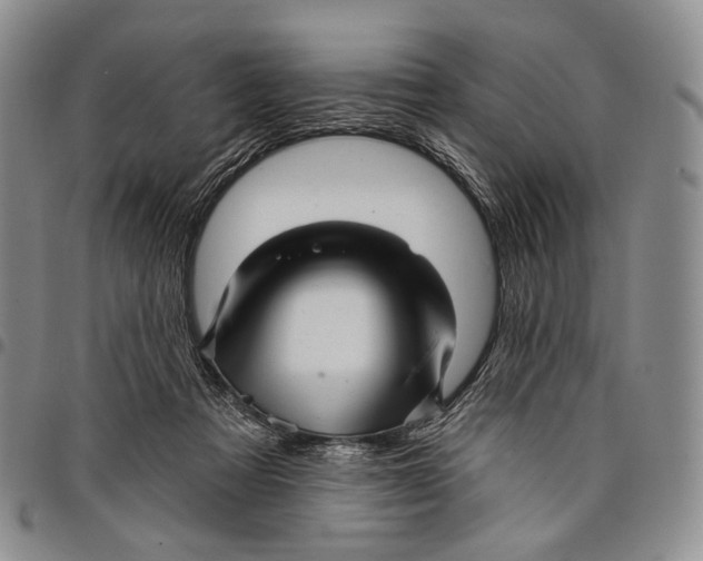 X0000097990313200804141148