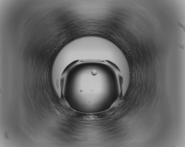 X0000097990316200804141148