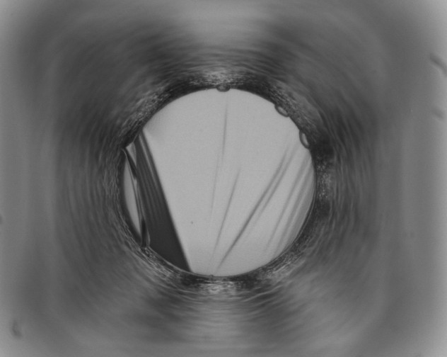 X0000097990317200804141148