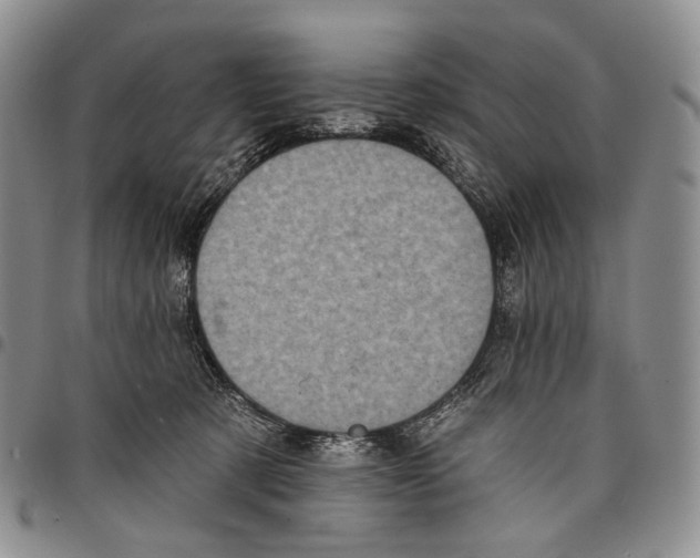 X0000097990321200804141148