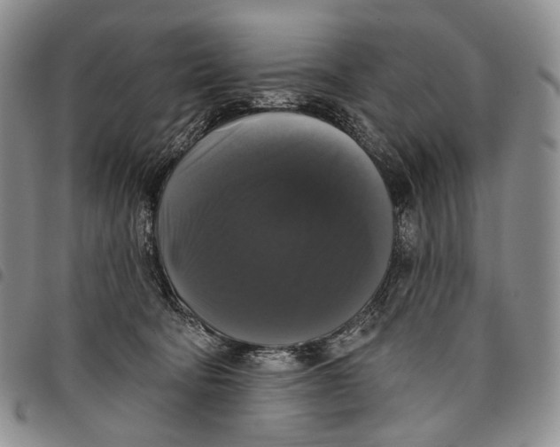 X0000097990322200804141148