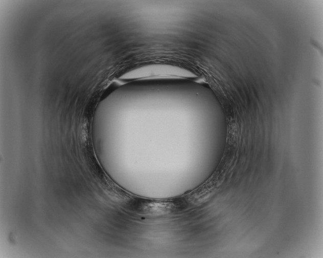 X0000097990323200804141148