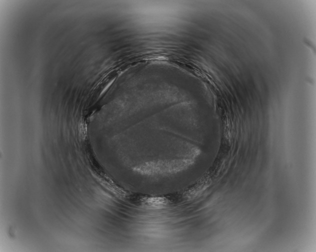 X0000097990324200804141148