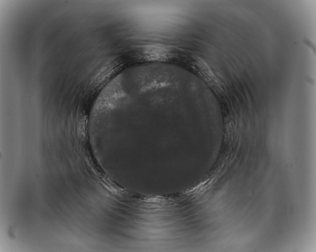 X0000097990325200804141148