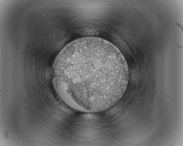 X0000097990326200804141148