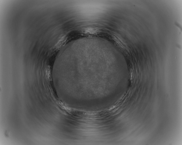 X0000097990328200804141148