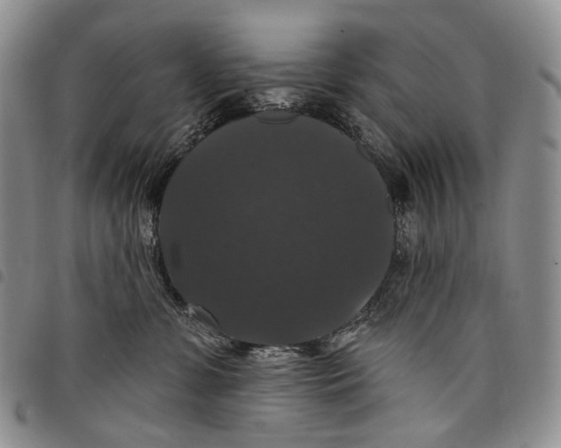 X0000097990331200804141148