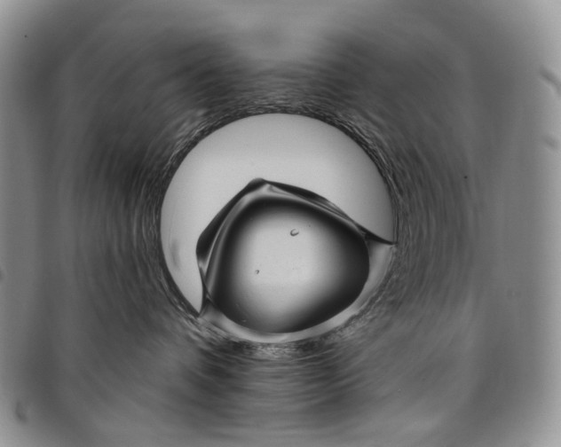 X0000097990336200804141148