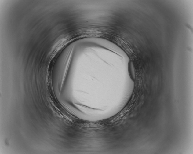 X0000097990338200804141147