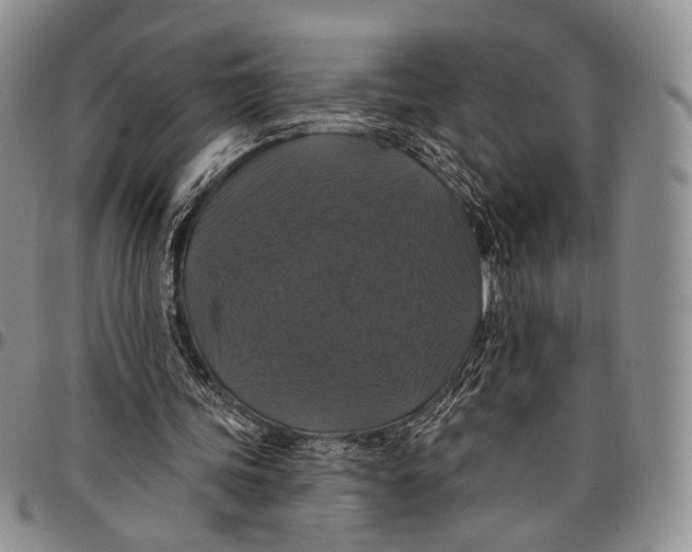 X0000097990339200804141147