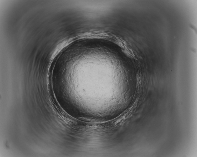 X0000097990340200804141147