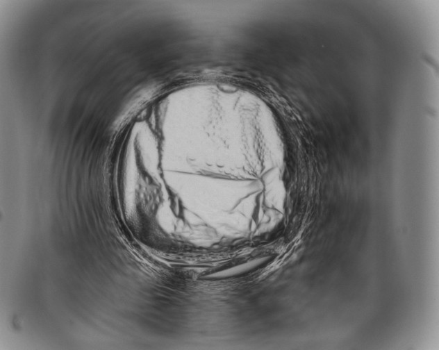 X0000097990341200804141147