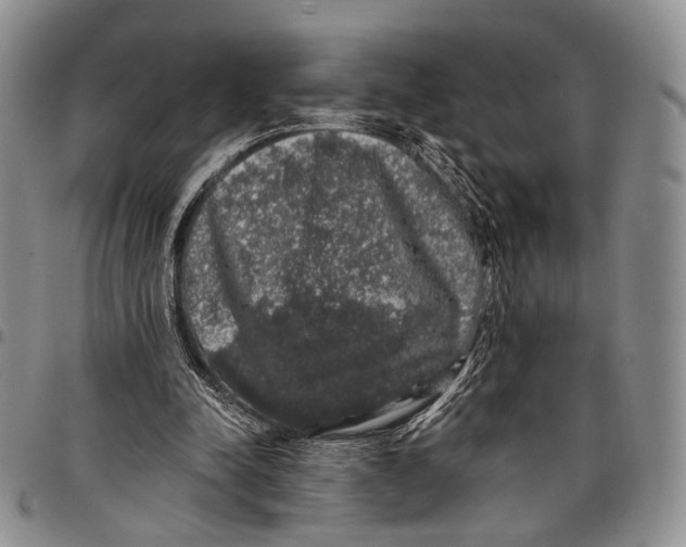 X0000097990342200804141147