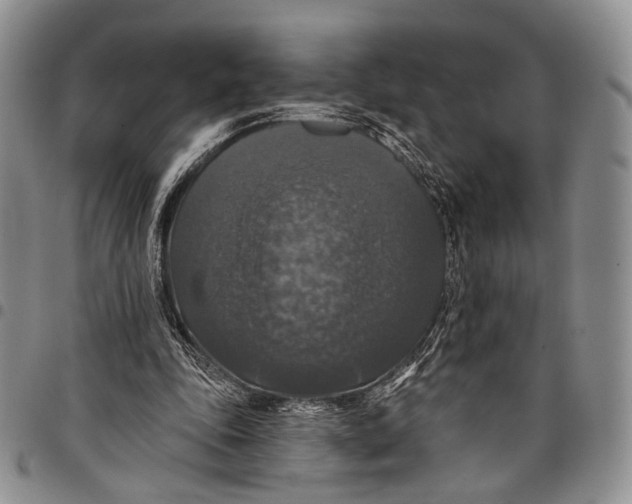 X0000097990343200804141147