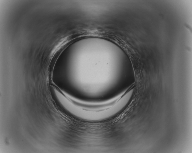 X0000097990344200804141147