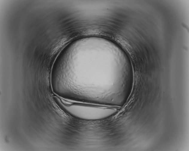 X0000097990345200804141147