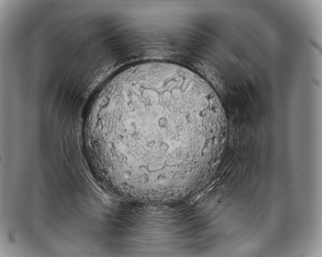 X0000097990346200804141147