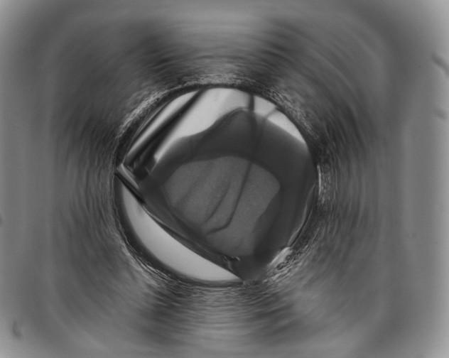 X0000097990348200804141147