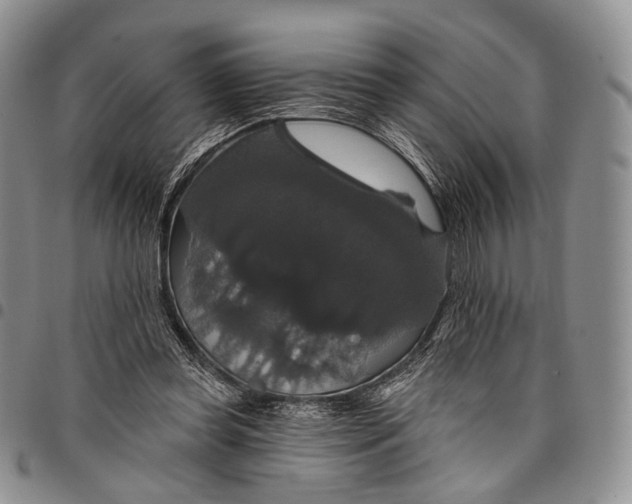 X0000097990349200804141147