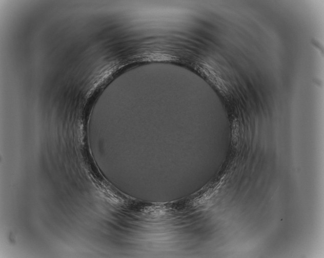 X0000097990351200804141147