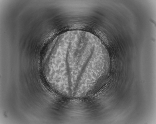 X0000097990354200804141147