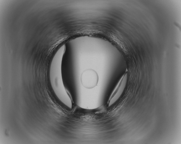 X0000097990356200804141147