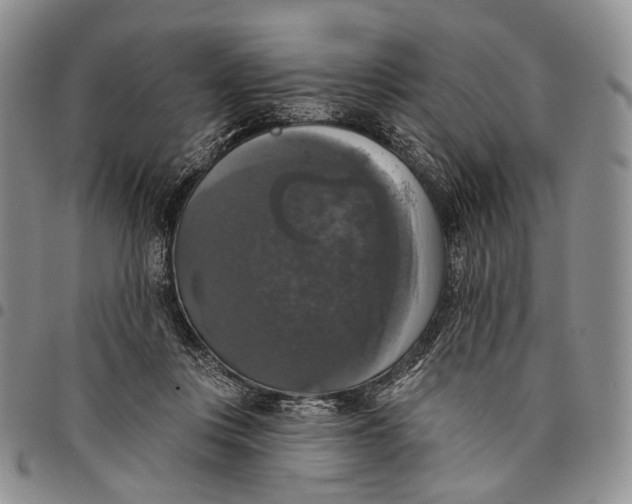 X0000097990359200804141147