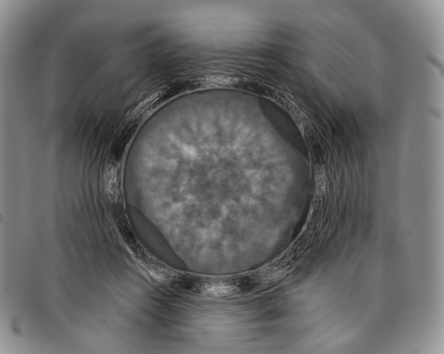 X0000097990360200804141147