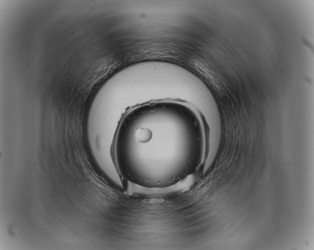 X0000097990362200804141147