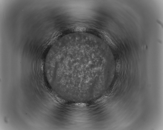 X0000097990363200804141147