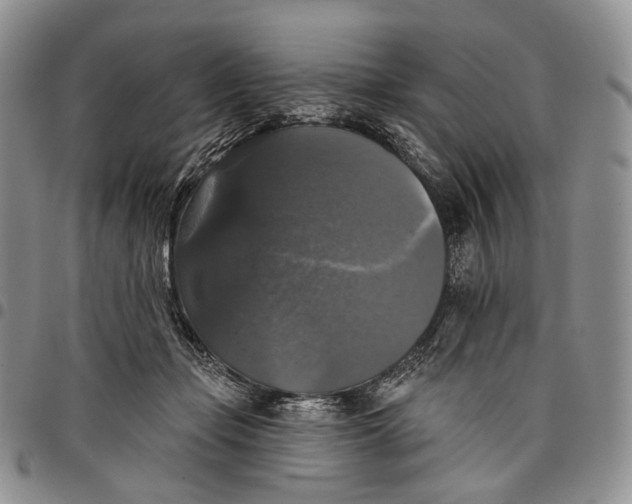 X0000097990365200804141147