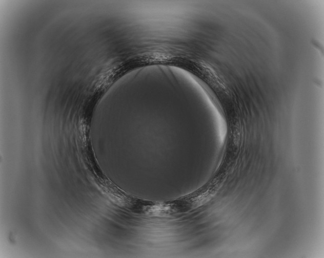 X0000097990366200804141147