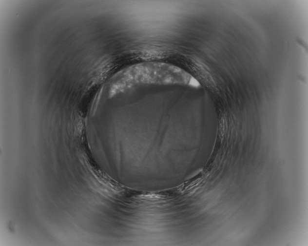 X0000097990367200804141147