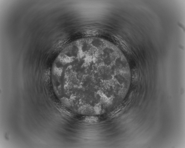 X0000097990369200804141147