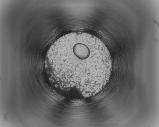 X0000097990370200804141147