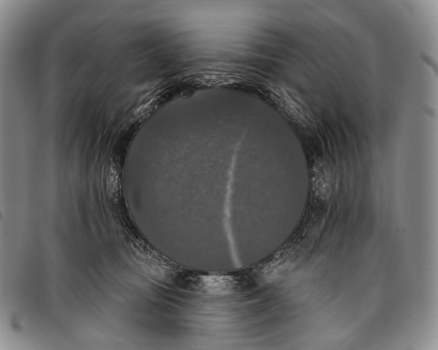 X0000097990371200804141147