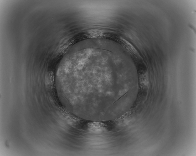 X0000097990372200804141147