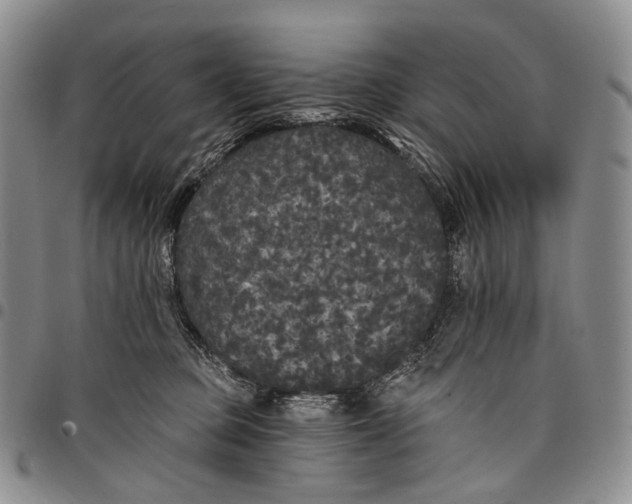 X0000097990373200804141147