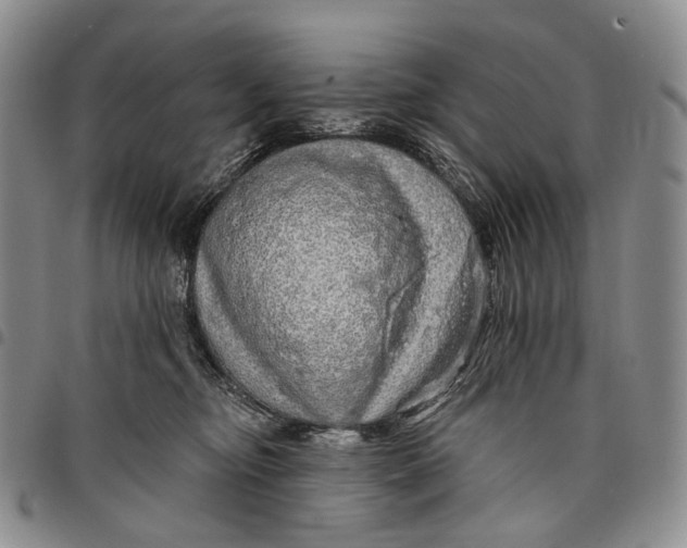 X0000097990374200804141147