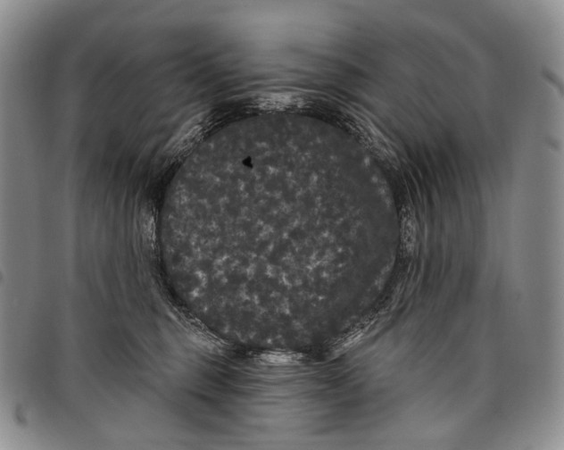 X0000097990375200804141147