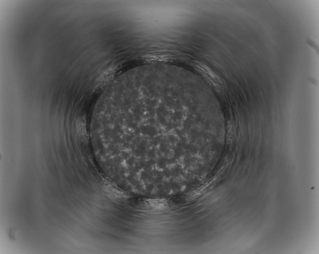 X0000097990377200804141147