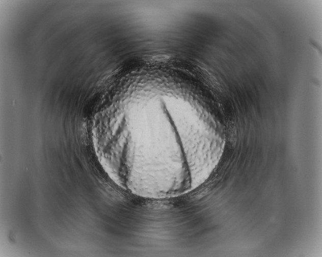 X0000097990378200804141147