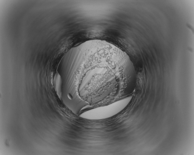 X0000097990380200804141147